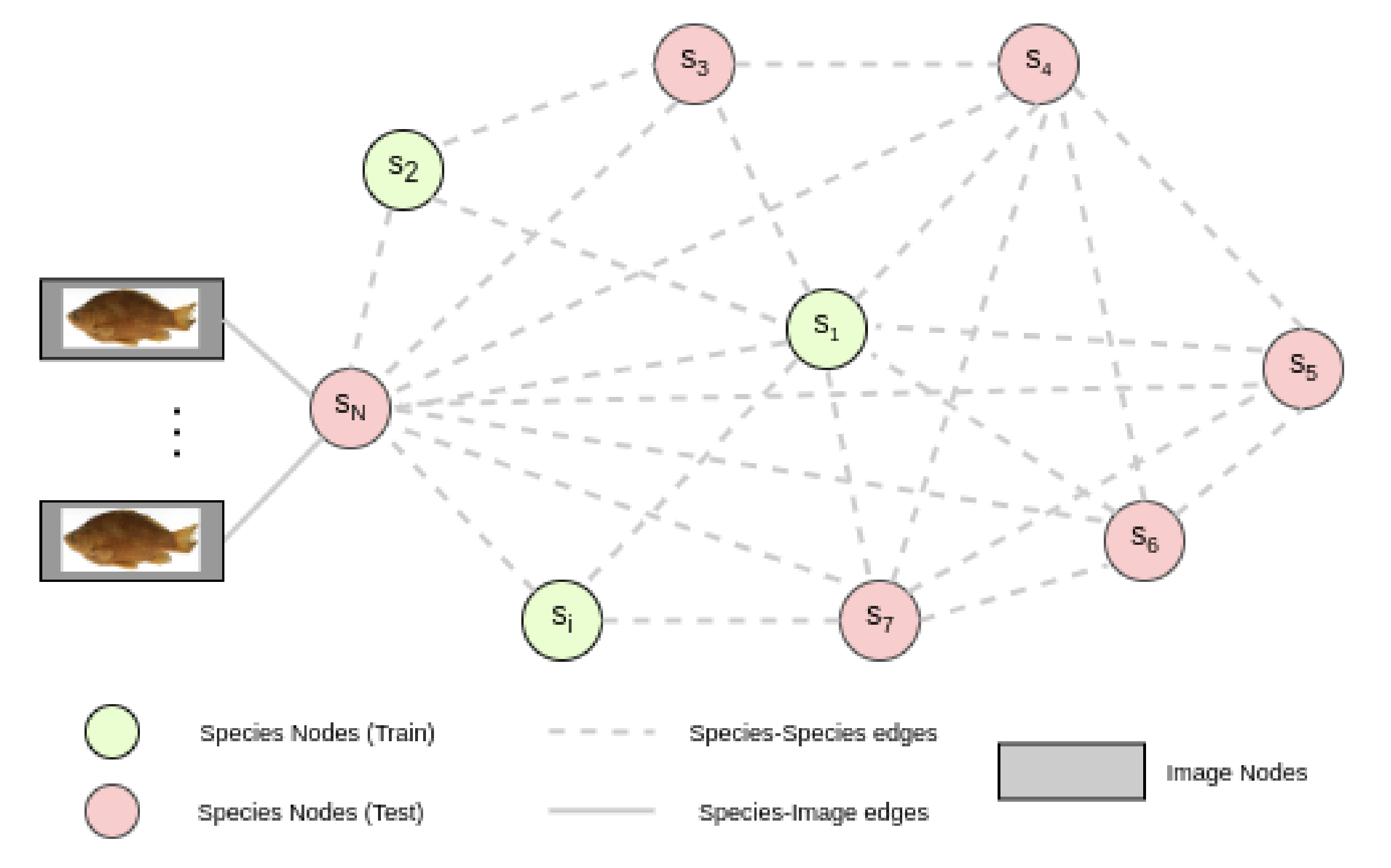 phyloGNN.jpg